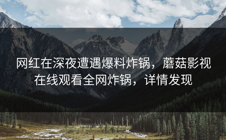网红在深夜遭遇爆料炸锅，蘑菇影视在线观看全网炸锅，详情发现