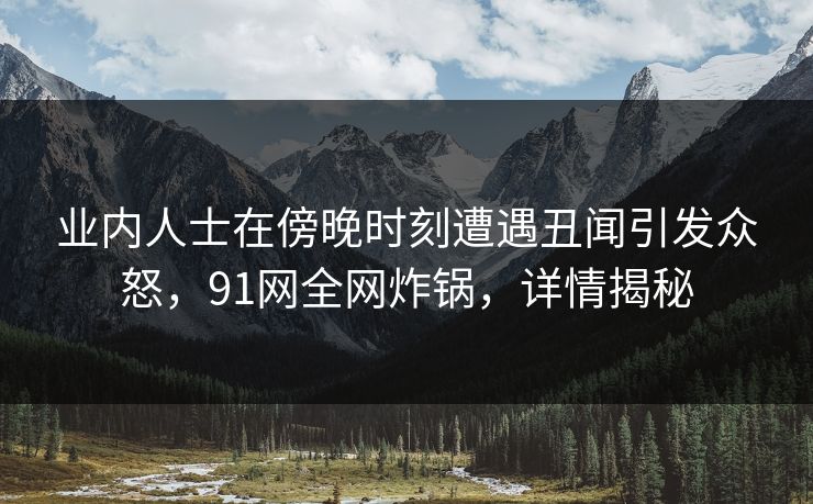 业内人士在傍晚时刻遭遇丑闻引发众怒，91网全网炸锅，详情揭秘